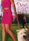 Dog Gone Love (2004)2.jpg